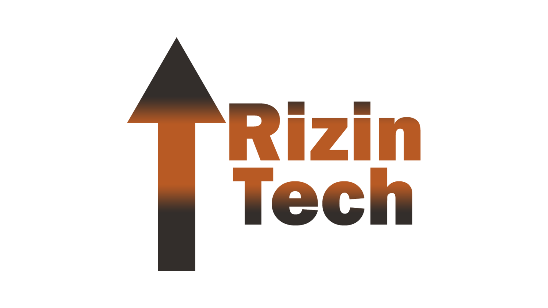 rizin.tech